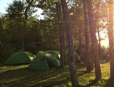 Tentes vertes dans une forêt avec le soleil à travers les arbres